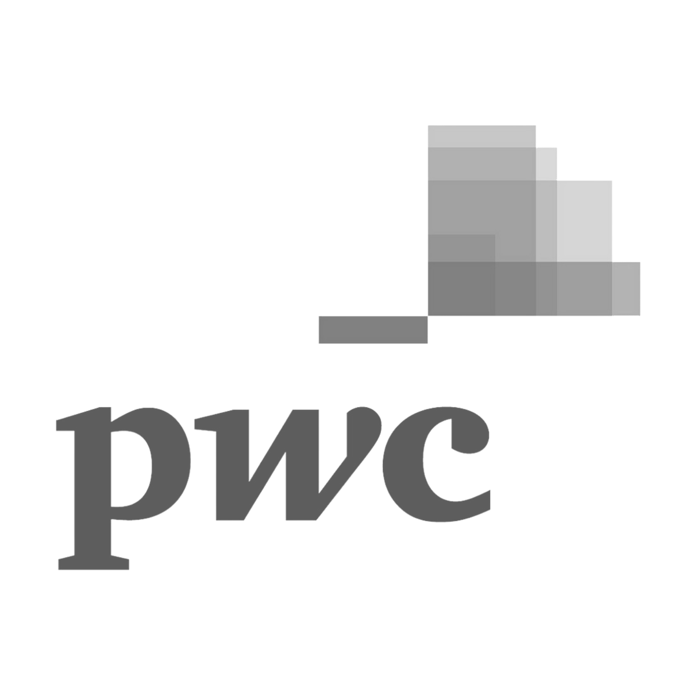 PWC Gray Logo